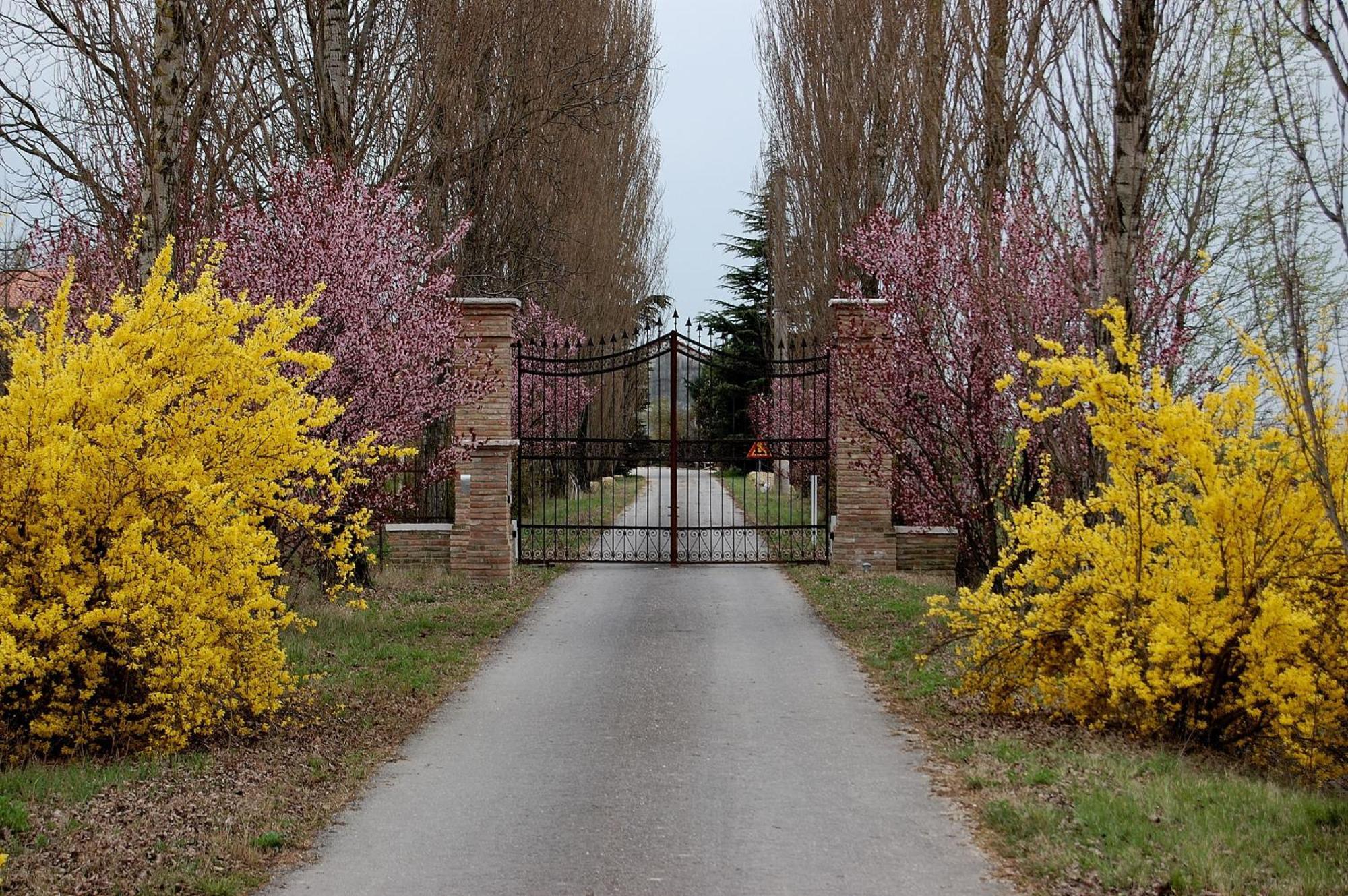 Agriturismo Corte Rocca San Giorgio di Mantova ภายนอก รูปภาพ