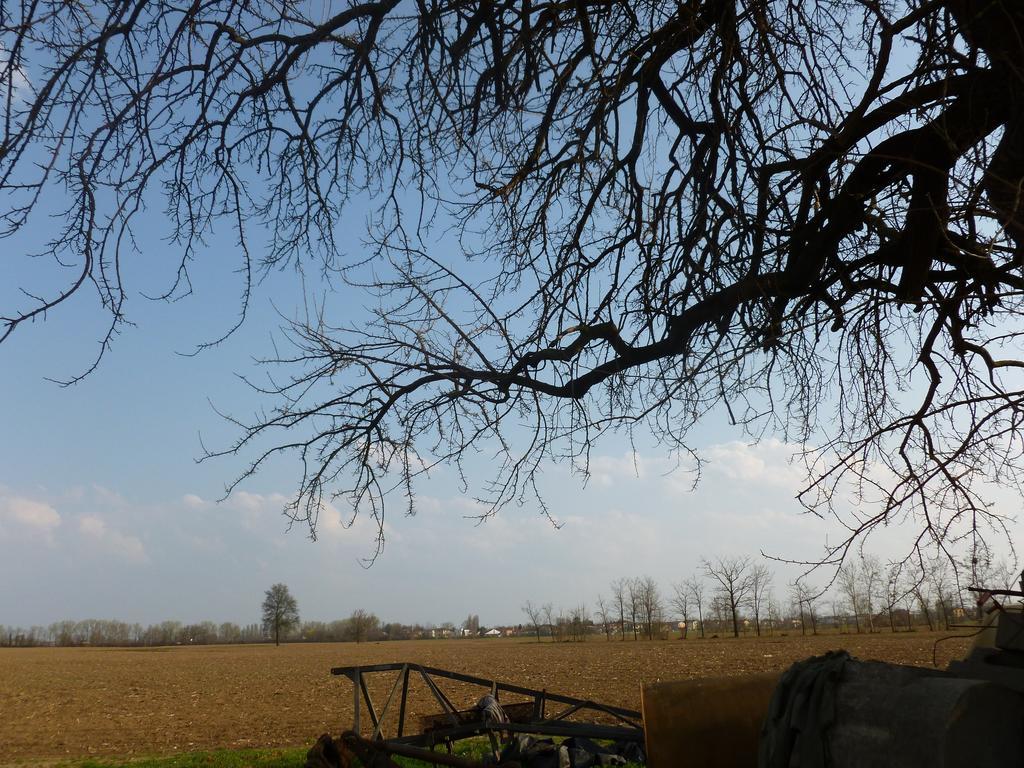 Agriturismo Corte Rocca San Giorgio di Mantova ภายนอก รูปภาพ