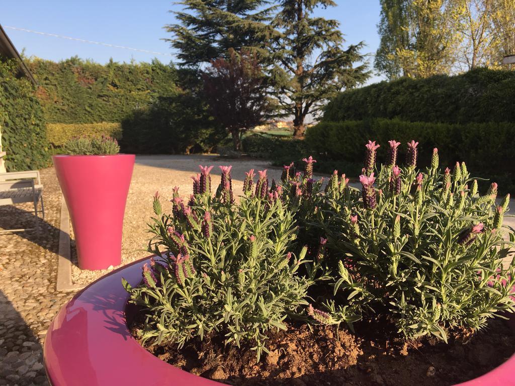 Agriturismo Corte Rocca San Giorgio di Mantova ภายนอก รูปภาพ